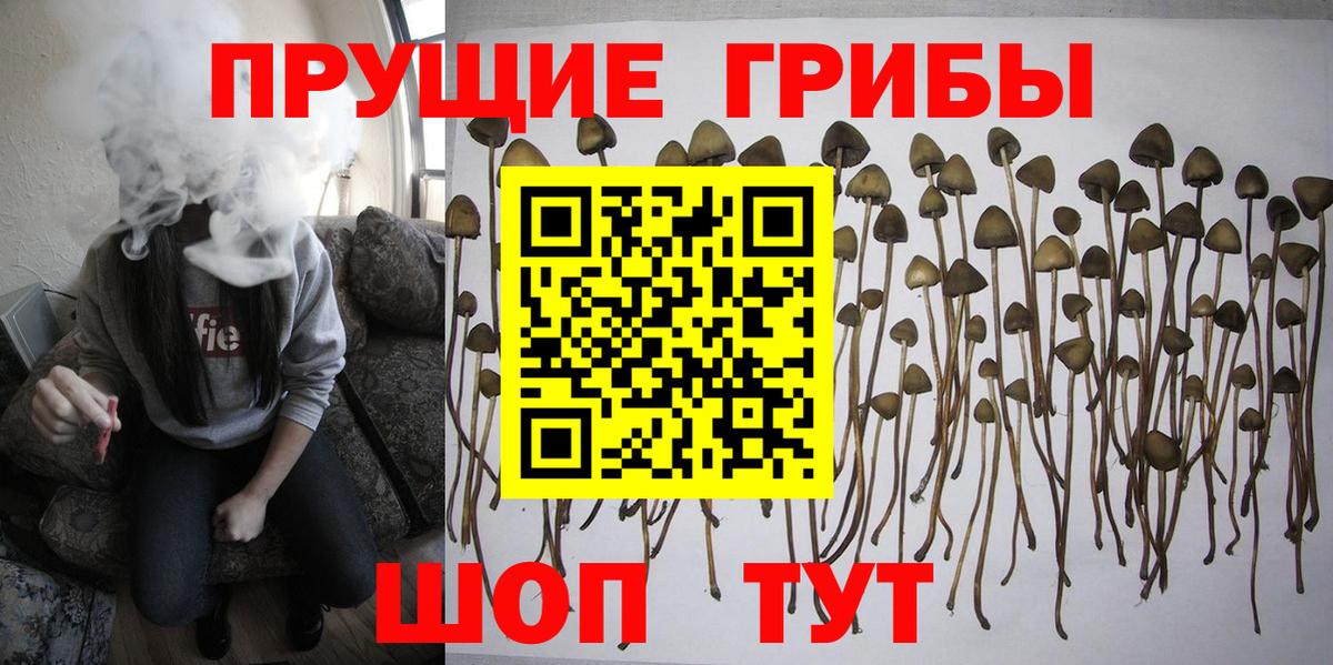 Псилоцибиновые грибы мухоморы Корсаков